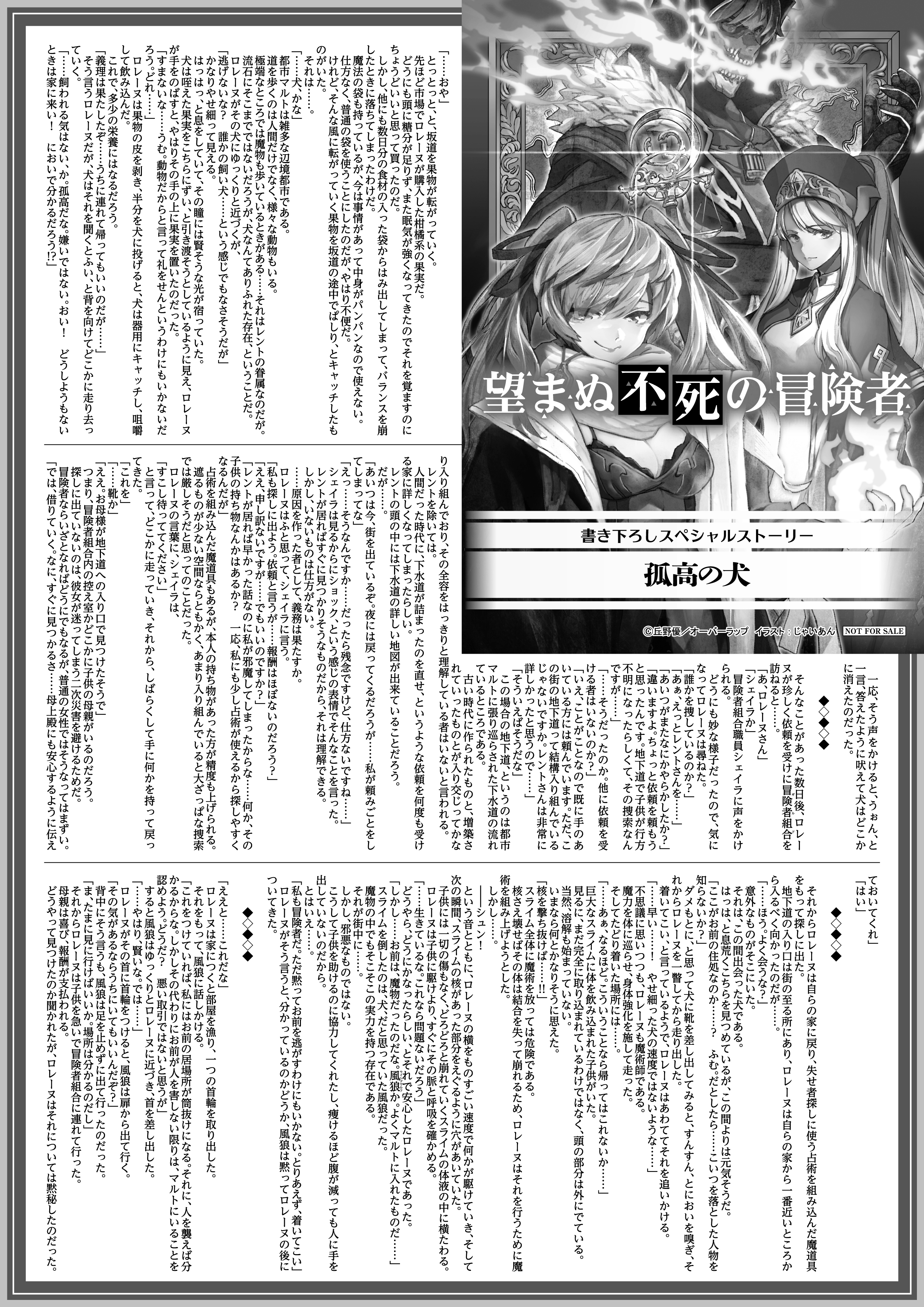 【ノベルス】「望まぬ不死の冒険者 4」A4SSペーパー